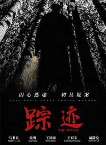 99久久精品国产一区二区成人